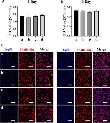 Modulatory Role of Silver Nanoparticles and Mesenchymal Stem Cell–Derived Exosome-Modified Barrier Membrane on Macrophages and Osteogenesis